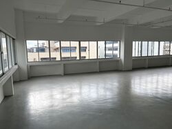 Perfect One (D13), Factory #556644201